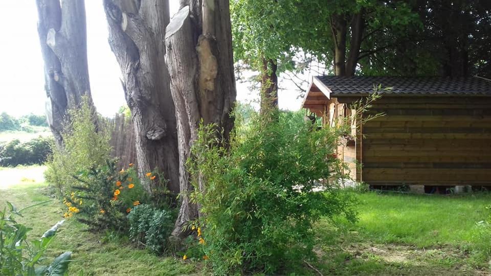 Le Chalet Du Clos Giot Saint-Vaast-la-Hougue Exterior foto